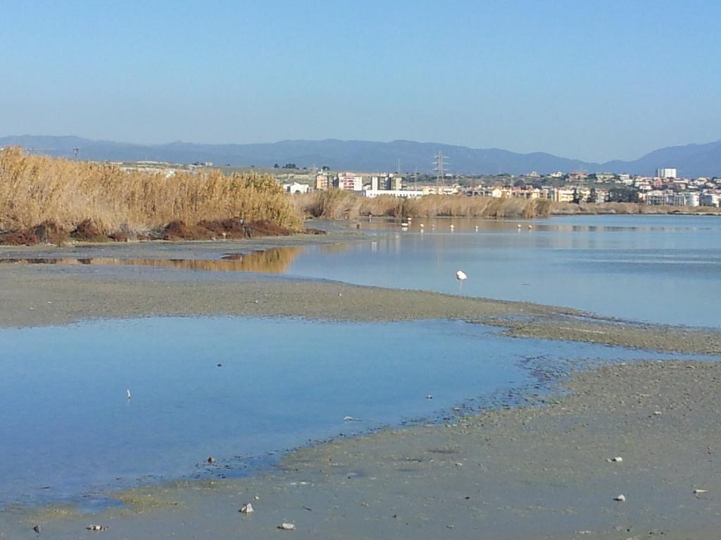 Appartamento Il Lilla Cagliari Oda fotoğraf